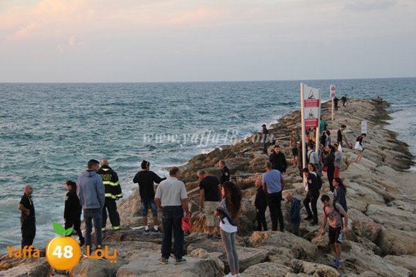 delferaniom3 (4).JPG